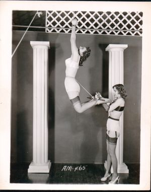 Classic Wrist Suspension