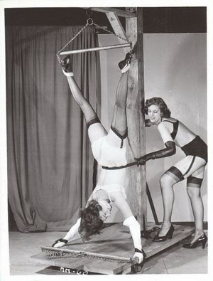 Classic Invert Suspension