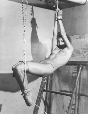 Classic Wrist Suspension