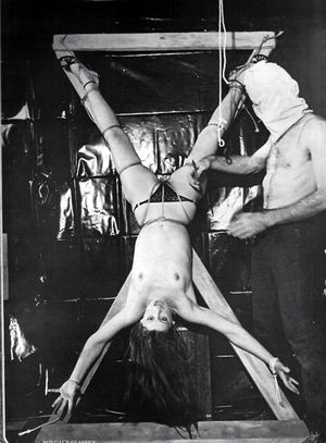 Classic Invert Suspension