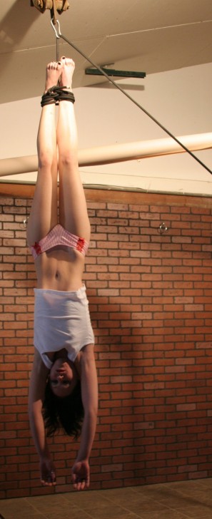 Invert Suspension