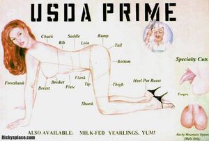 An educational lesson to wanna-be chefs