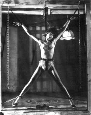 Classic Suspension Bondage