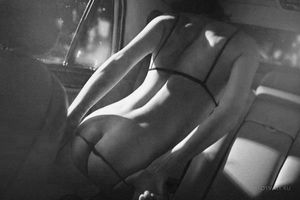 The Backseat