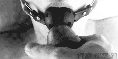 dinner