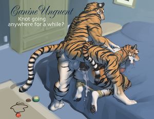 Canine Unguent by Meesh