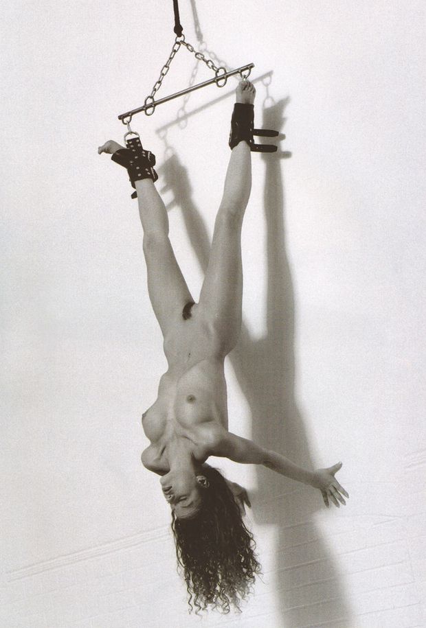 Invert Suspension