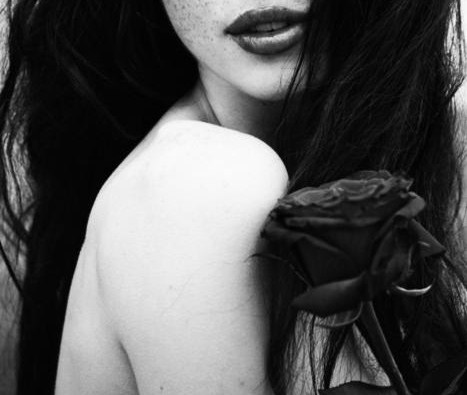 rose