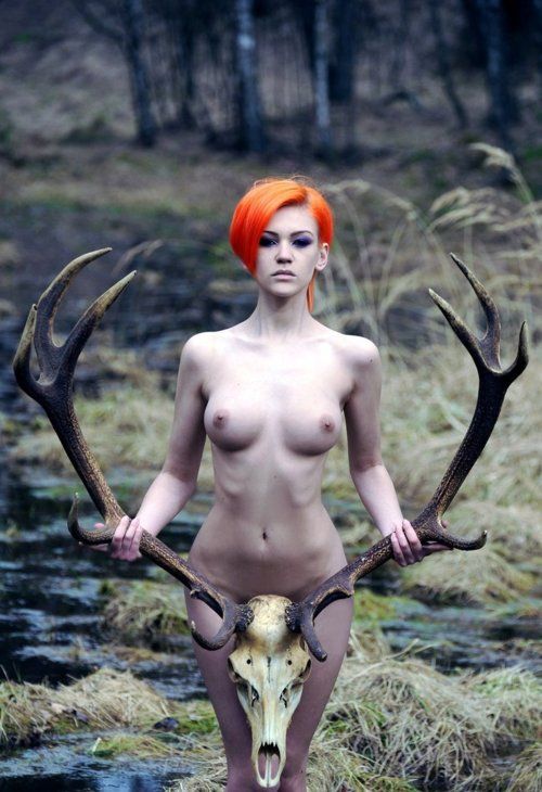 Have you got the horn?