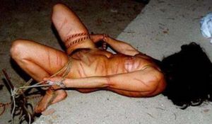 whipped and loving it