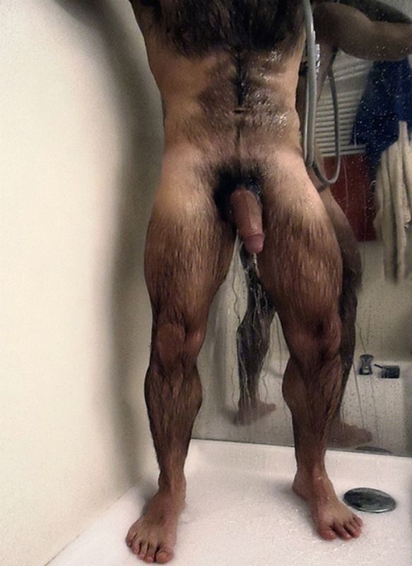 Wet bear