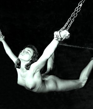 Classic Flying Suspension