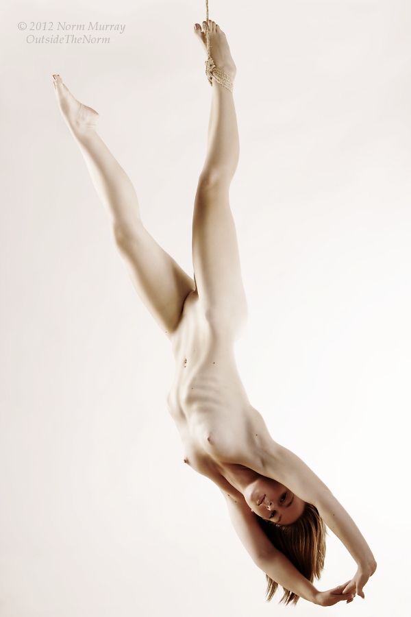 Invert Suspension