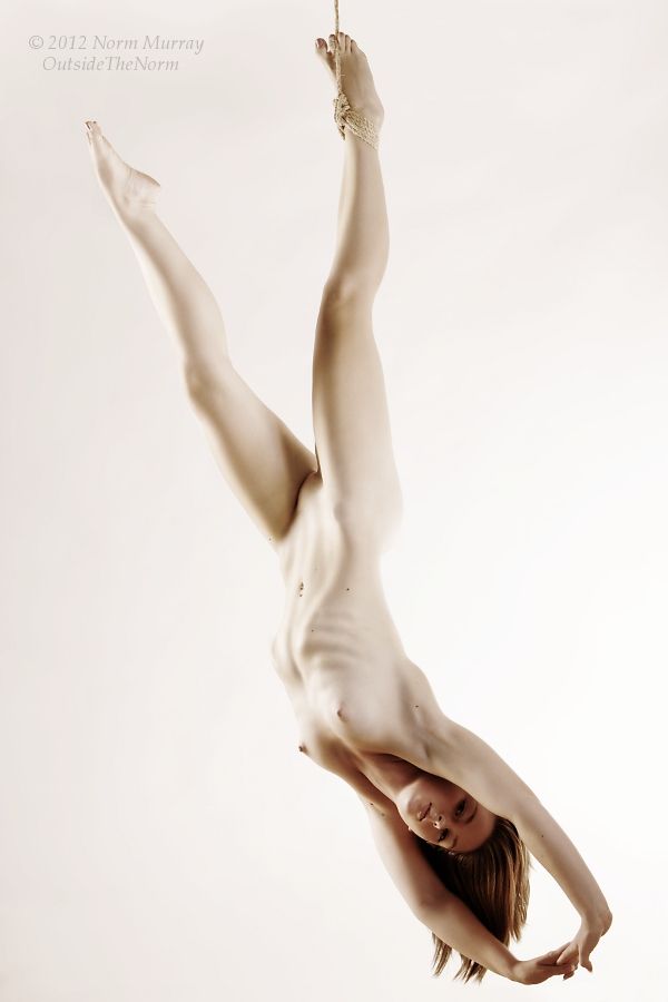 Invert Suspension