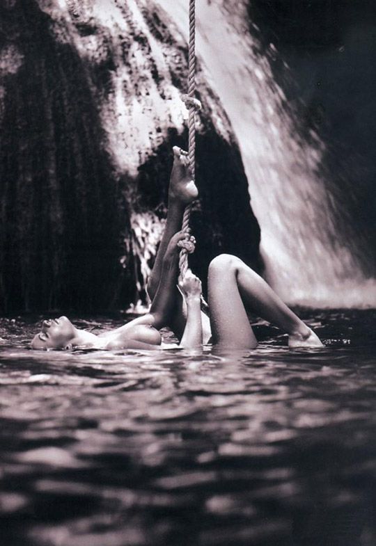 nymphs