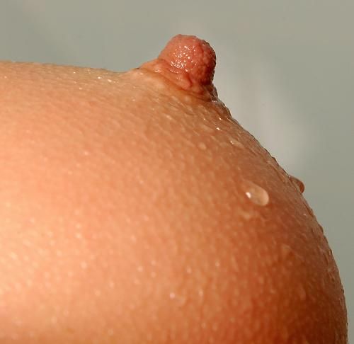nipples : all free gallery at hotsportygirls