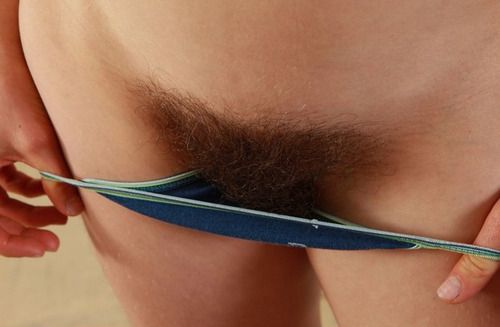 Incredible bush