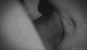 fucking her shaved pussy up close ass pussy