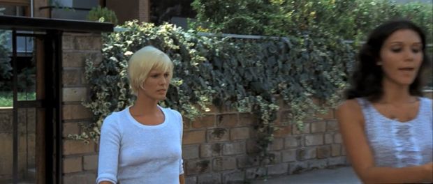 Mimsy Farmer & Laura Troschel - Four Flies on Grey Velvet
