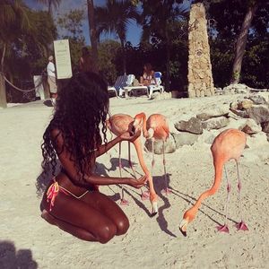Ebony Lust