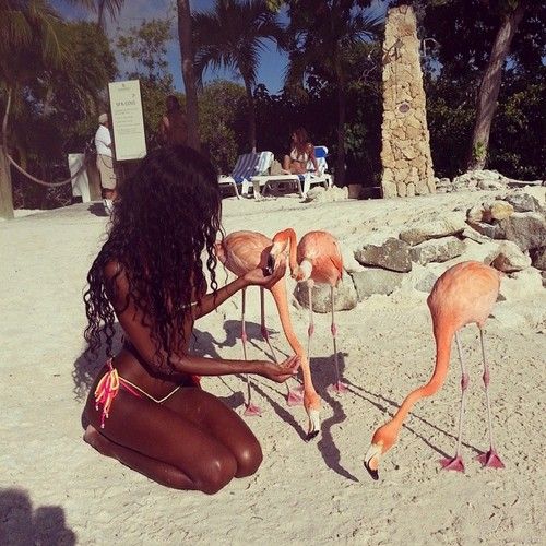 Ebony Lust