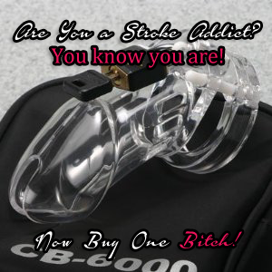 You Belong in a Chastity Device Shrimp Dick
