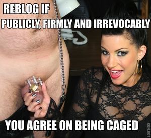 chaste4herbyher: spotkb: I mean…DO I HAVE A CHOICE ???? OF COURSE!!!! The post chaste4herbyher: spotkb: I mean…DO I HAVE A&#8230; appeared first on Femdom Fetish - BDSM.