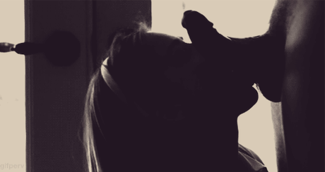 5220802.gif