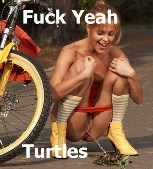 lol turtles