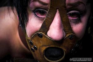 Jingle Sluts Part 2 Cadence Cross is still looking for more from her live feed. When she got here she told us how into it she was and ... 3