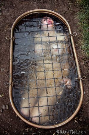 Rain DeGrey Comes On Live Live feeds are something our crew lives for. There is something thrilling about streaming our handy work live - 3