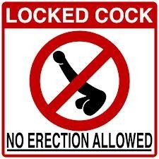 Locked Cock Time! No Erections Allowed!