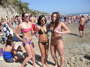 sluts at the beach, which one do you pick?
