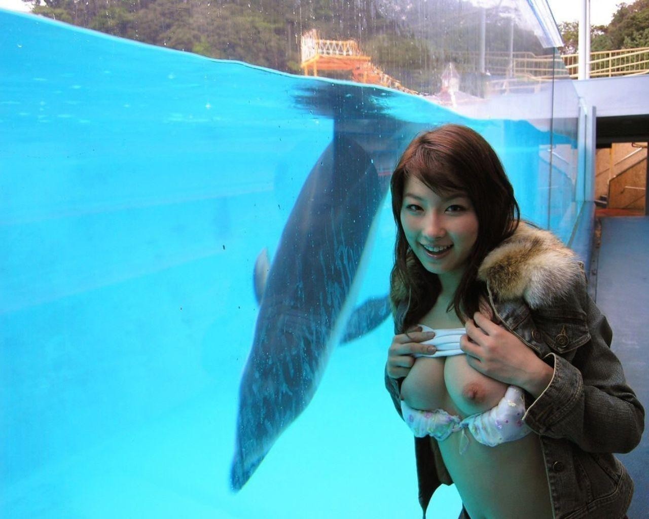 zoo