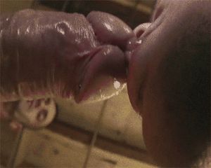 Lick the head of the cock