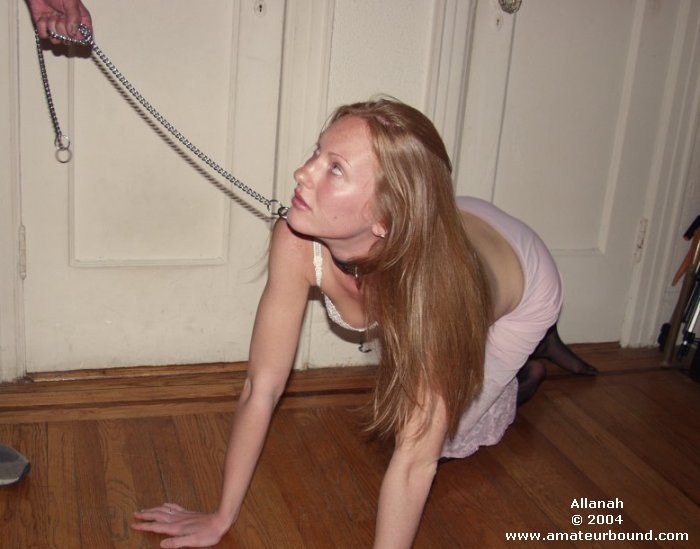 allanah, floor, collared