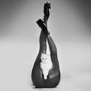 I bet you want to f*#*k: www.Bootynice.com