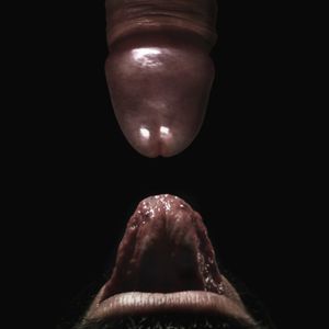 lick the head of the cock