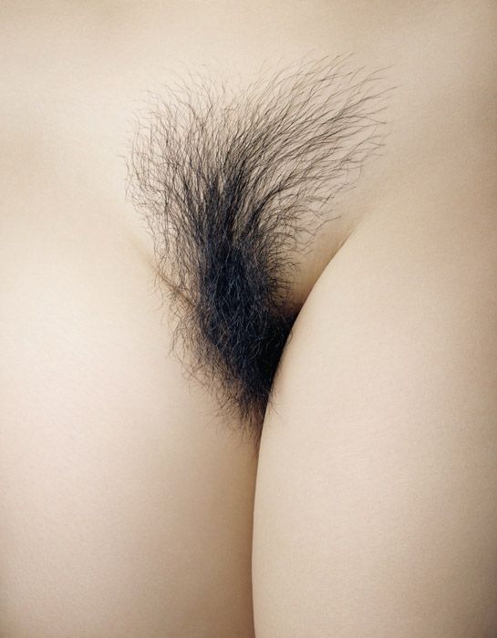 Beautiful asian hairy pussy