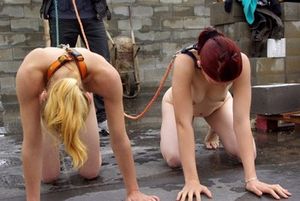 Slave sluts training #42