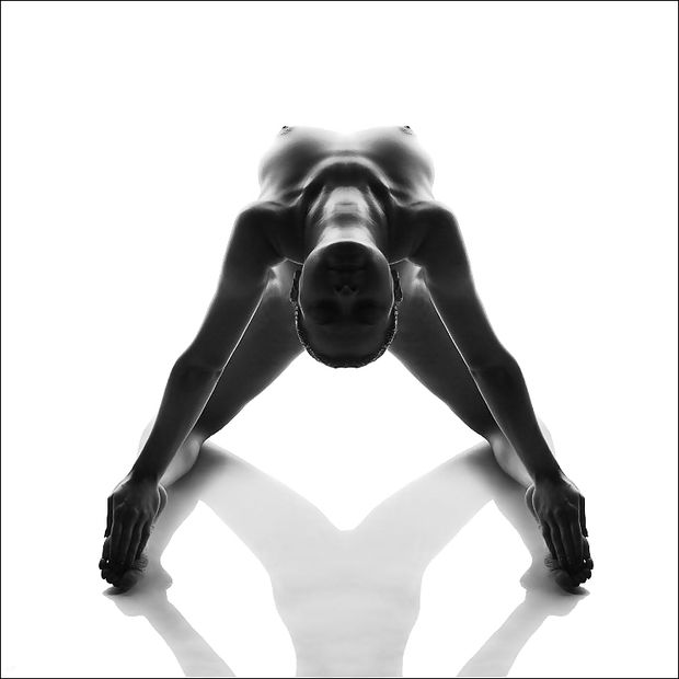 Erotic art