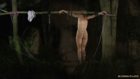 Painful pleasure for a slave angel