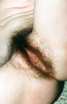 Dirty hairy whores #142