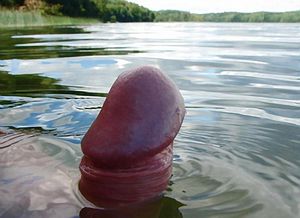 Watch out girls, there a Loch Ness dick in the lake!
