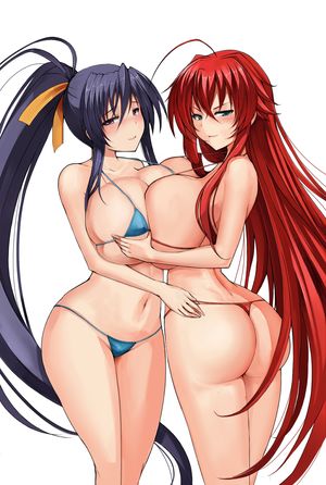 Rias Gremory & Himejima Akeno