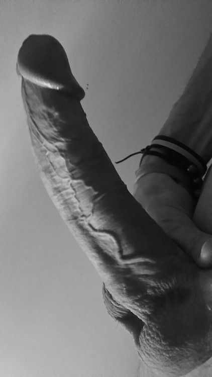 cock