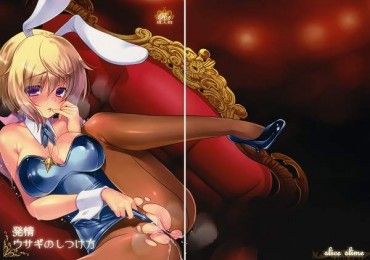 Here're some bunny Ears and Bunny Tails Hentai For You!