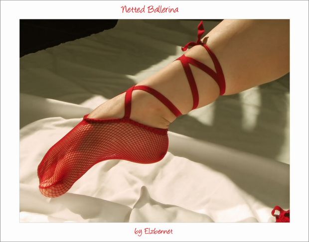 net pointe