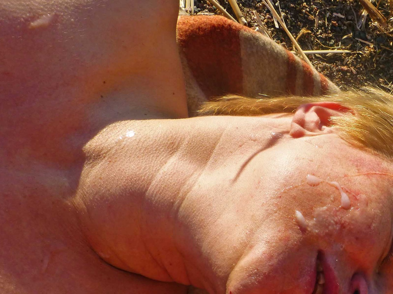 Ape Wife's First Ever Facial Pic