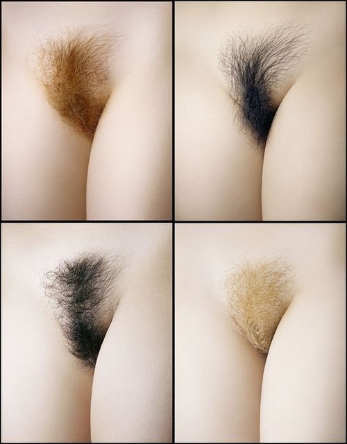 (via Ostatnio dodane - four haired pussies - Sex Photos and Hentai Gallery.)